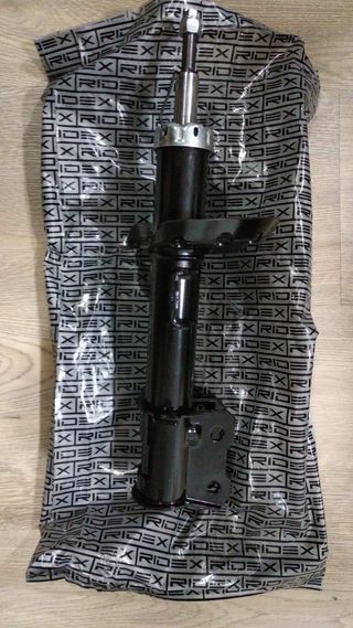 CONJUNTO AMORTIGUADORES DELANTEROS RIDEX