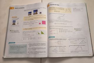 Matemáticas. 2 ESO. Savia
