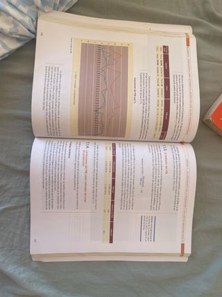ECONOMÍA 1