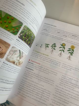 Biología y Geología 1.º ESO. NOVA