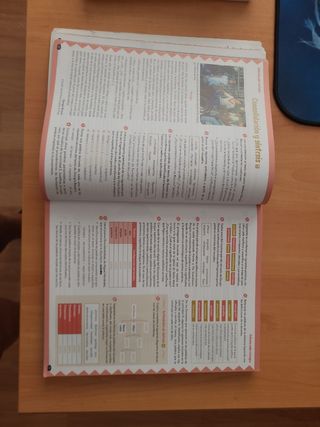 Lengua Castellana y Literatura 4º ESO. Libro de...