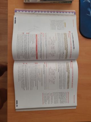 Lengua Castellana y Literatura 4º ESO. Libro de...