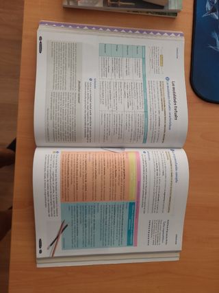 Lengua Castellana y Literatura 4º ESO. Libro de...