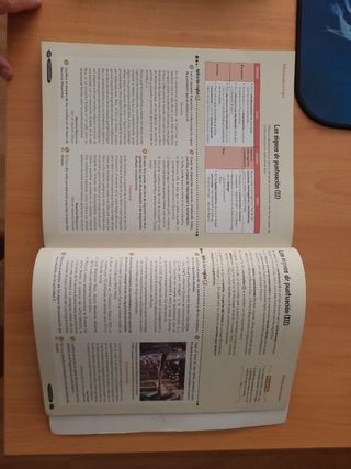 Lengua Castellana y Literatura 4º ESO. Libro de...