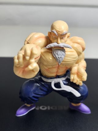 Figura Duende Tortuga /Maestro Roshi Musculoso DB