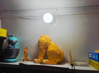 Litera Caravana Bourke Kids