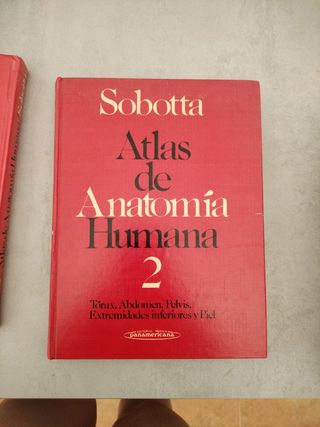 Sobotta atlas de anatomía humana 
