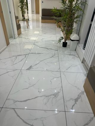 “¡Transforma tu hogar! Albañil profesional