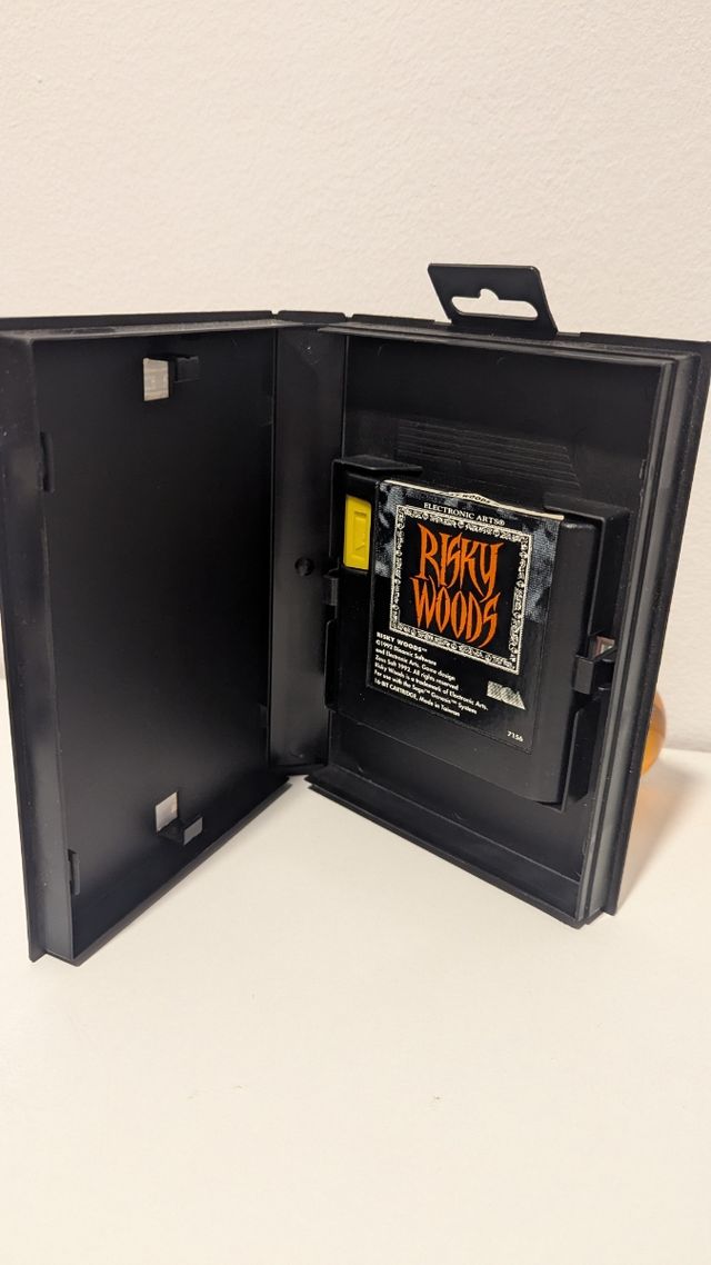 Risky Woods - Mega Drive