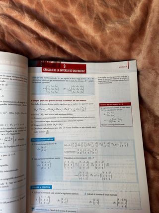Matemáticas aplicadas a las Ciencias Sociales II.