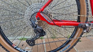 BH Spike 29 T/L