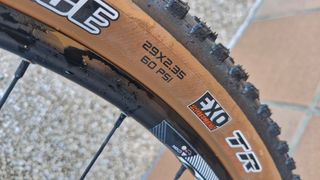 BH Spike 29 T/L