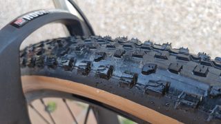 BH Spike 29 T/L