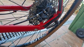 BH Spike 29 T/L