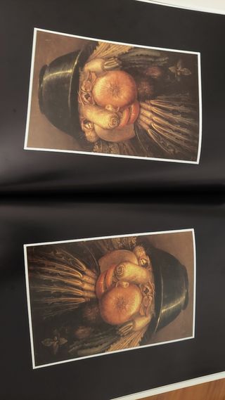 Libros de Grosz y Archimboldo