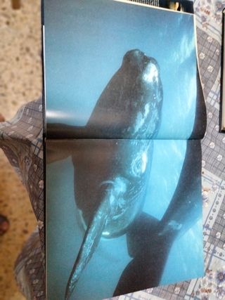 Colección National Geographic DVD