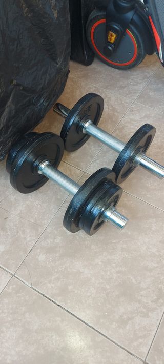 Banco de abdominales y pesas DOMYOS y 2 mancuernas