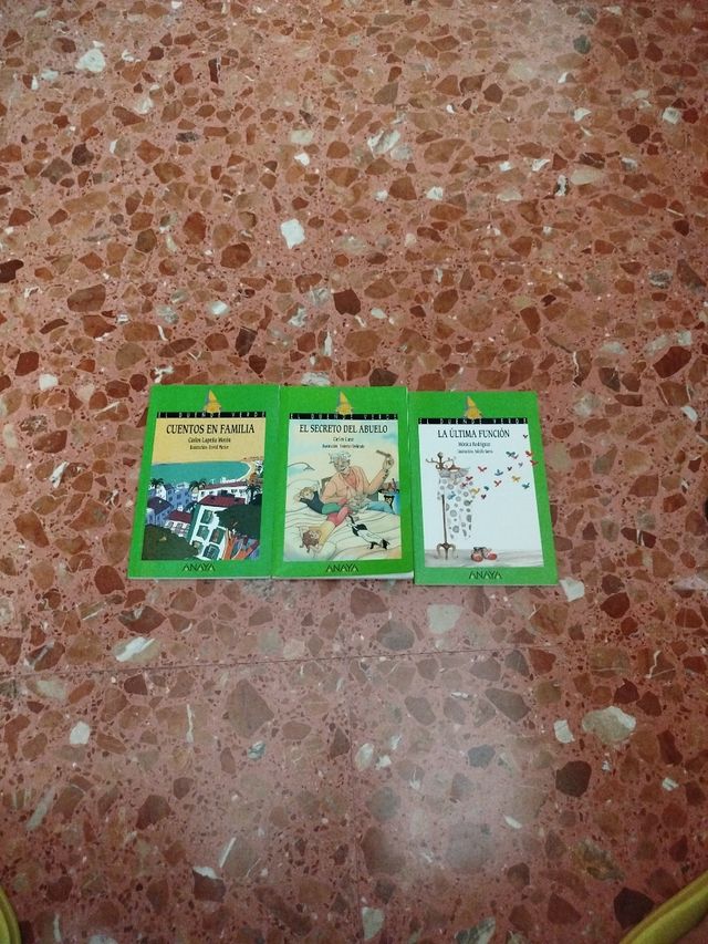 Lote libros cuentos en familia, el secreto ...