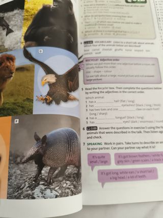 Third solutions B2 Intermediate Plus student's