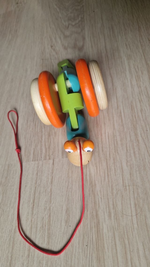 Caracol Caminador de Madera