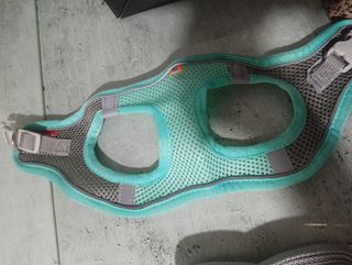 Arnés y Correa para Perro