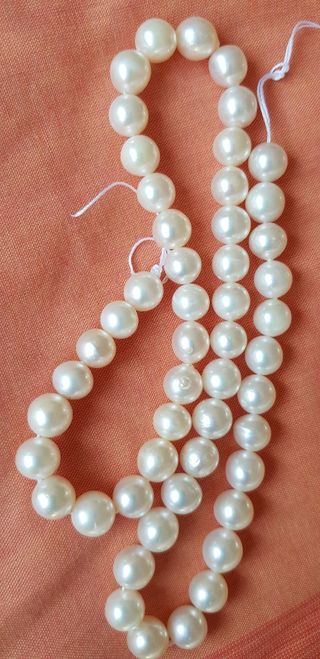 Tira perlas naturales de agua dulce