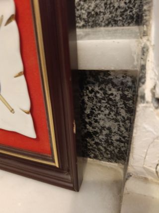 Metopa USAC HOYA FRIA