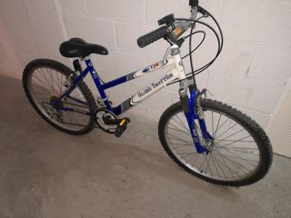 Bicicleta de Montaña Infantil