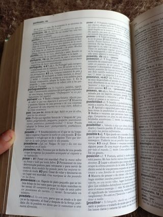 Diccionario Didactico De Espanol (Spanish) (Spa...