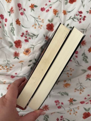 La llama en la niebla (Literatura Mágica) (Span...