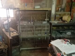 Pajarera para canarios