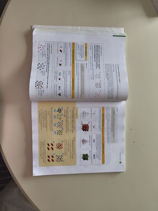 FISICA Y QUIMICA SERIE INVESTIGA 2 ESO SABER HACER