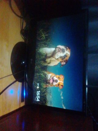 Monitor LG Negro
