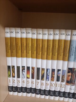 Diccionario Espasa 24 tomos