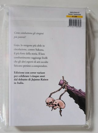 Jujutsu Kaisen - Sorcery Fight 26 Variant