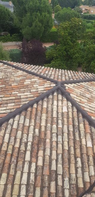 Nos dedicamos a la pintura y albañilería