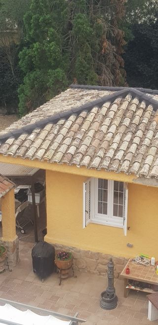 Nos dedicamos a la pintura y albañilería