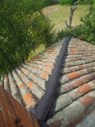 Nos dedicamos a la pintura y albañilería