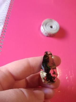 Anillo de resina con caracolas
