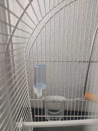 Jaula para pájaros blanca
