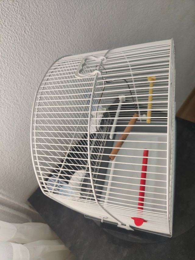 Jaula para pájaros blanca