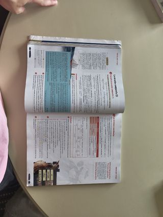 Lengua Castellana y Literatura 4º ESO. Libro de...