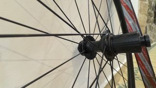 Ruedas Fulcrum Rapid Red 900 Gravel Tubeless