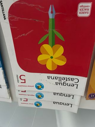 libros de 5 de primaria 