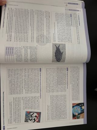 LENGUA CASTELLANA Y LITERATURA 1 BACH (CER)