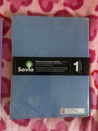 Lengua castellana y literatura. 1 Bachillerato....