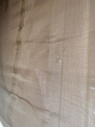 Pacchetto Estor Etamin 2020