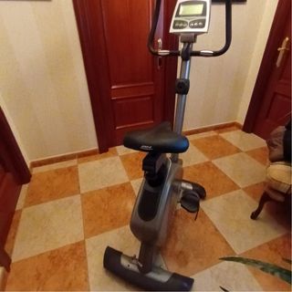 Bicicleta Estática BH Pegasus
