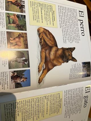 Animales en la granja