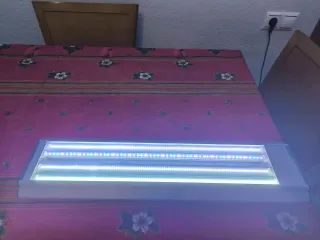 Eheim Proxima Acuario 175L con Mueble dos puertas.